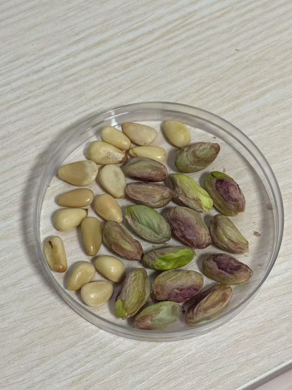 坚果